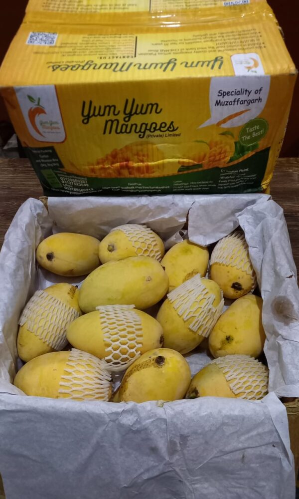 White Chaunsa (Mousmi Chaunsa) - سفید چونسا - Image 60